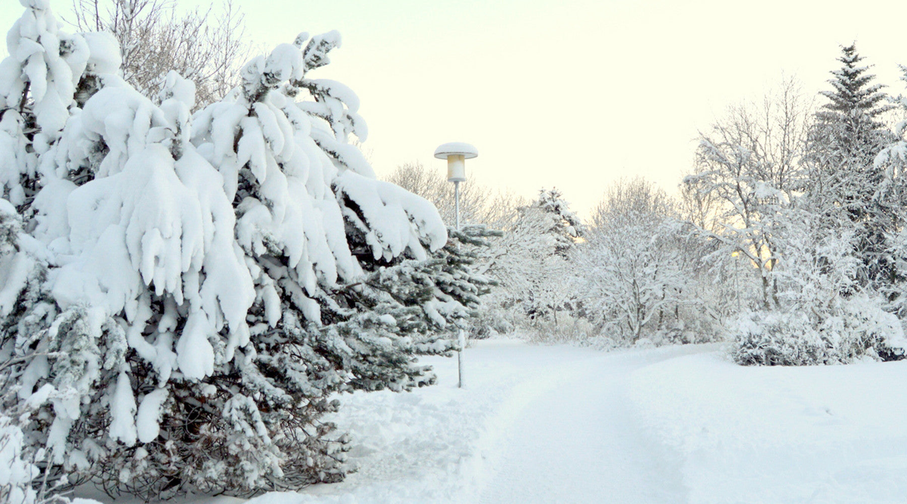 Day 5 with Santa Gnome: 5 Places where Santa Gnome is likely to be spotted